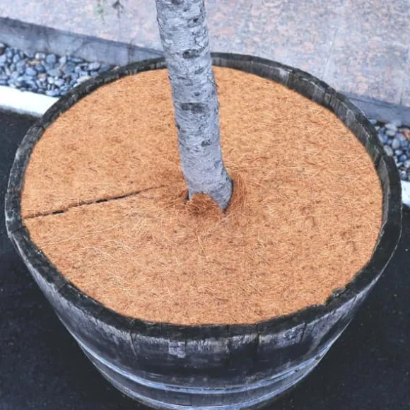 4 Coconut Mulching-skiver 30 cm Kokosfibermåtte Kokosfiber Plantebeskyttelsesmåtte Kokosnød
