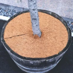 10 Coconut Mulching-skiver 60 cm Kokosfibermåtte Kokosfiber Plantebeskyttelsesmåtte Kokosnød