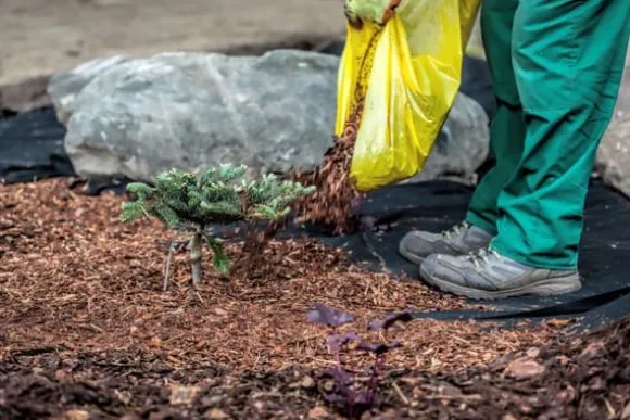60 m² Havefleece Ukrudtsbekæmpelsesstof Ukrudtsforing Mulchforing Mulchstof 150 g/m² 1 m w.