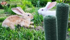 20 m Sekskantet net Kyllingehegn Kanin wire Kanin gitter Grøn Hare wire 50 cm