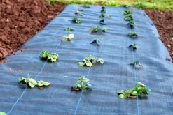 120 m² Ukrudtsbekæmpelsesmembran Ukrudtsforing Mulch liner 100 g 2 m bred