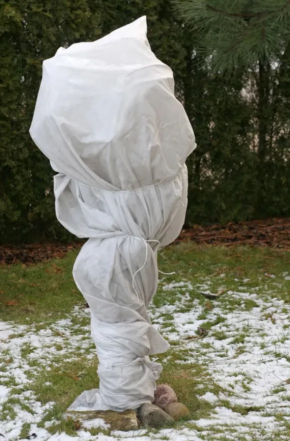 128 m² Vinterbeskyttelsesfleece Isolerende havefleece Frostbeskyttelse 60 g