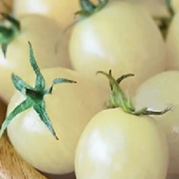 100 st läckra tomatfrön Produktiva grönsaksträdgårdsfrön för plantering utomhus