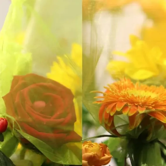 30 stk. 20*30 cm frugtposer med snøre, genanvendelige haveposer, frugtposer, velegnede til frugttræer, grøntsager og blomster