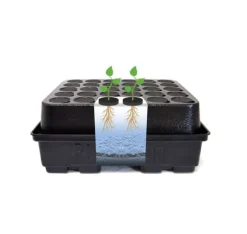 Aeroponisk system DWC Clone 12 Platinium