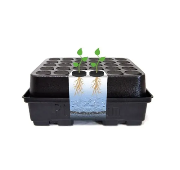 Aeroponisk system DWC Clone 12 Platinium