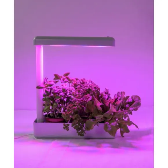 Airam Herby plante lampe, 10W/840, 650 lm