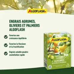 ALGOFLASH NATURASOL Gødning til citrusfrugter, oliven og palmer - 1 kg
