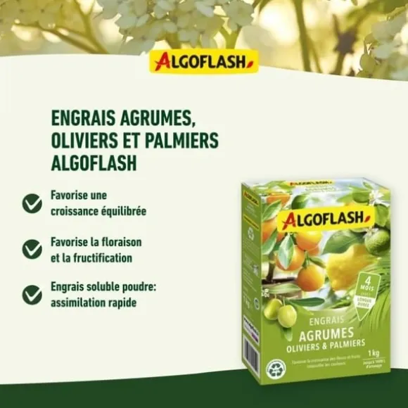 ALGOFLASH NATURASOL Gødning til citrusfrugter, oliven og palmer - 1 kg
