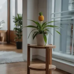 Ananasplante - Ananas comosus 'Mi Amigo' - Højde 35-45cm - ⌀12cm