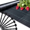 Anti-roddug - Agrotekstil - 1,1 x 50 m - 50 jordstifter