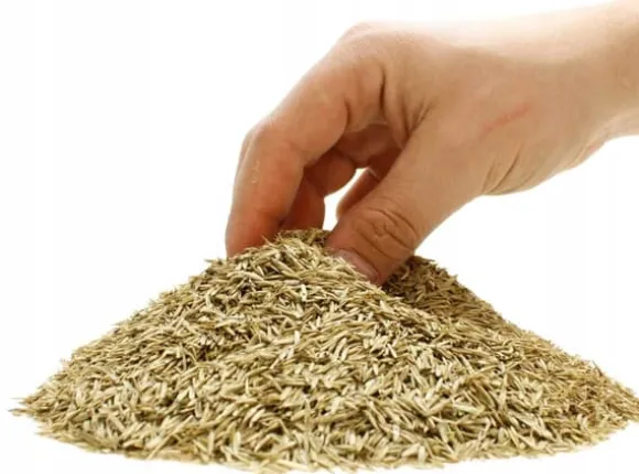 ARPON PARKGRÆS 1 KG
