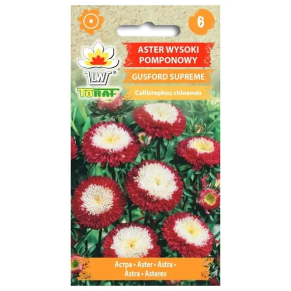 Asterfrø Gusford Supreme - Flerfarvede pomponblomster til blomsterbede og buketter