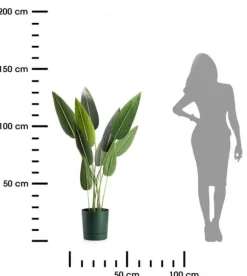 Azalea avocadogryde med underkop 22 cm