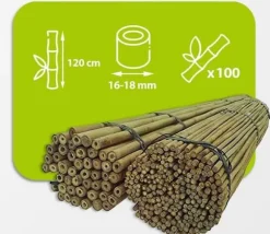 Bambusstænger 120 cm 16/18 mm /100 stk/