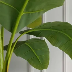 Bananpalme - Sæt med 2 - Musa basjoo - Højde 55-70cm - ⌀21cm