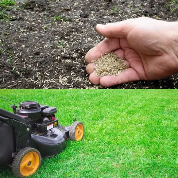 Barenbrug EMERALLD Premium regenerativt græs 15kg