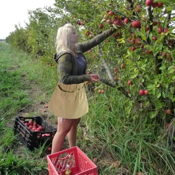 Berry Foderpåse Multipurpose Slitstark Nylon Frukt Foraging förvaringsväska med spänne