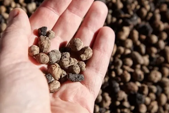 BIOVITA GARDENING EKSPANDERET LER ideel til dræning 8-16MM 2L