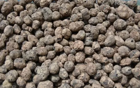 BIOVITA GARDENING EXPANDED GRAPE ideel til dræning 8-16MM 18L