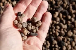 BIOVITA GARDENING EXPANDED GRAPE ideel til dræning 8-16MM 18L