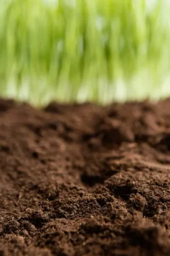 BIOVITA SURT TØRVESUBSTRAT til blåbær og acidofile planter 5L