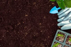 BIOVITA SURTØRV til blåbær og syreholdige planter pH 3,5-4,5 50L