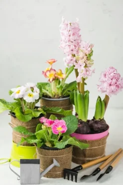 BIOVITA UNIVERSAL BLOMSTERJORD 5 LITER MED GØDNING