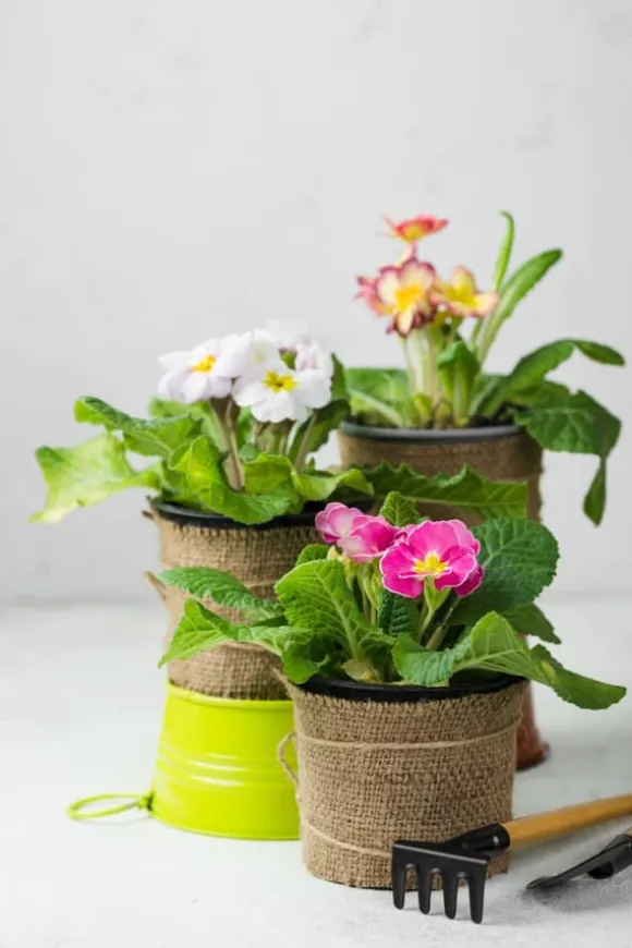 BIOVITA UNIVERSAL BLOMSTERJORD MED OSMOVIT 10L