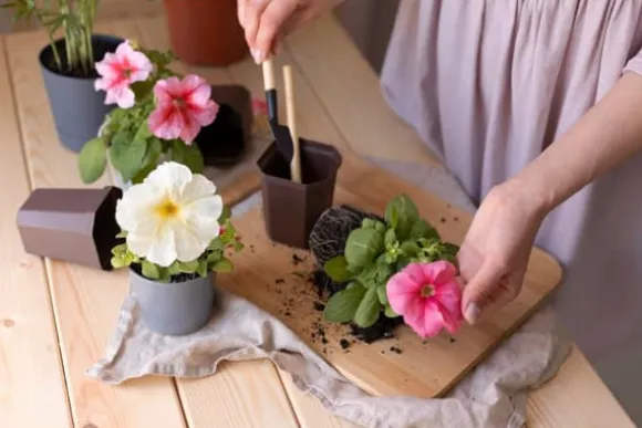 BIOVITA UNIVERSAL BLOMSTERJORD 10 LITER MED GØDNING