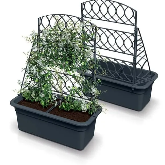 BLOMA HUS MED PERGOLA - ANTRACIT - PP-DBLO600 A