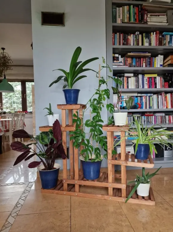 Blomsterkrukke af træ til hjemmet RKB /95x116x25/ Brun
