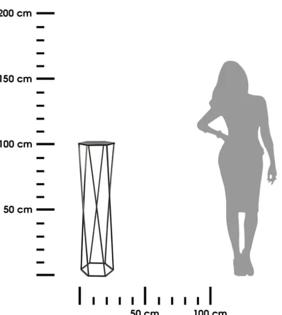 Blomsterstander til planter sort 100 cm