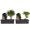 Bonsai med vattenfal - Sæt med 2 - Bonsai - Højde 25-35cm - ⌀29cm