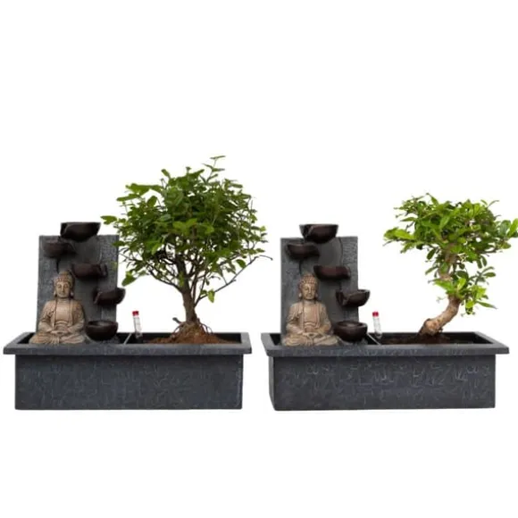 Bonsai med vattenfal - Sæt med 2 - Bonsai - Højde 25-35cm - ⌀29cm