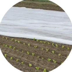 Bradas agrotekstil 320x1000cm 17 g/m² AWW1732010
