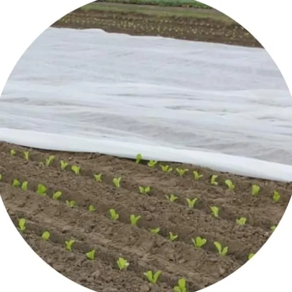 Bradas agrotekstil 320x1000cm 17 g/m² AWW1732010