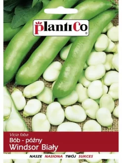 Bredbønne Hvid Windsor 50g PlantiCo frø