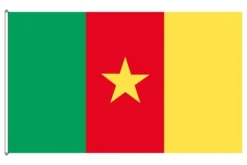 Cameroun flag