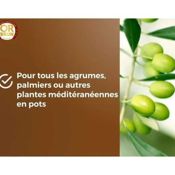 Citrus- og middelhavsplantejord - BRUN GULD - OBRTAGR6U - 6L - Oliventræer, palmer og cycas