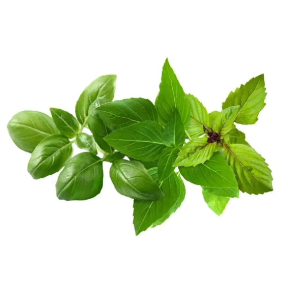 Click & Grow - Smart Garden Refill 9-pak Basil Variety Mix