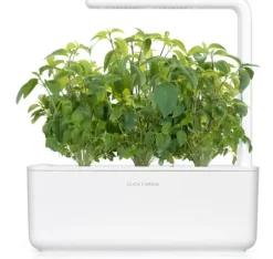 Click & Grow Smart Garden refill Thai Basilikum 3 stk