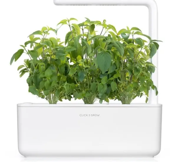 Click & Grow Smart Garden refill Thai Basilikum 3 stk