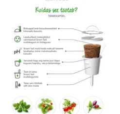 Click & Grow Smart Garden refill Thai Basilikum 3 stk