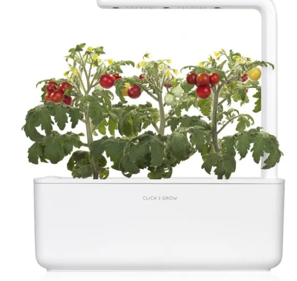 Click & Grow Smart Garden refill Mini Tomat 3 stk