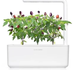 Click & Grow Smart Garden refill Lilla Chili Pepper 3 stk