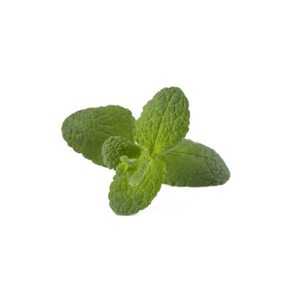 Click & Grow Smart Garden Refill 3-pak - Apple Mint (SGR79X3)