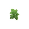 Click & Grow Smart Garden refill Dværgbasilikum 3 stk