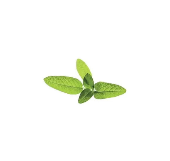 Click & Grow Smart Garden refill Sage 3stk