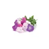 Click & Grow Smart Garden refill Petunia 3stk
